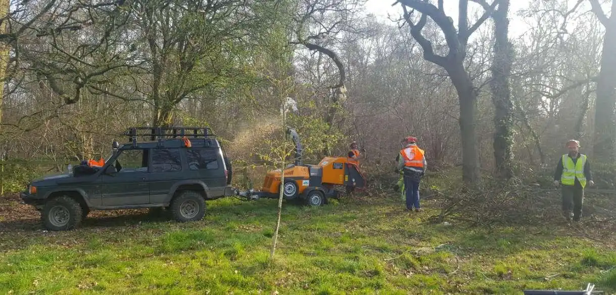 Bordon based tree surgeon crowning tree