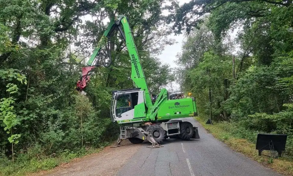 Bordon based commercial tree services