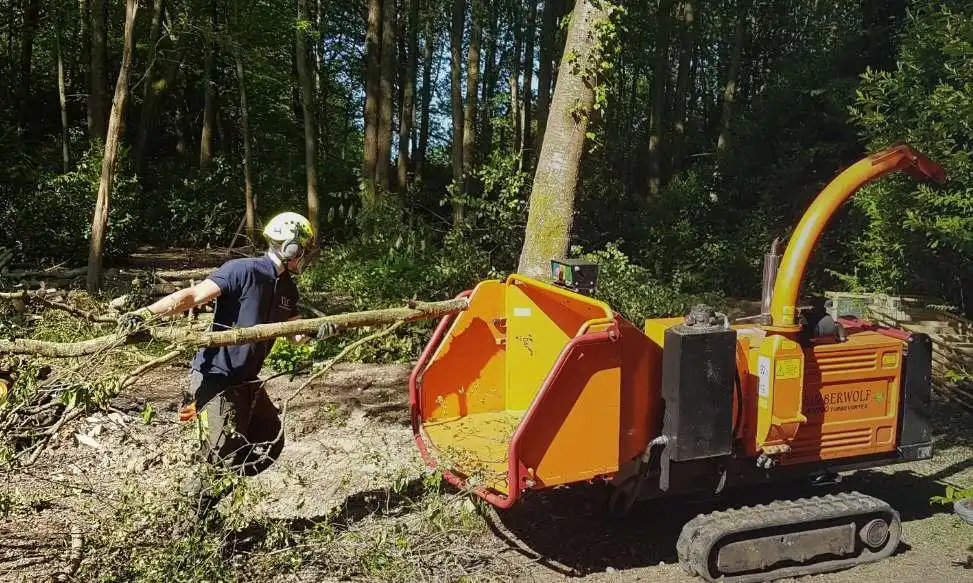 Bordon based garden clearance services