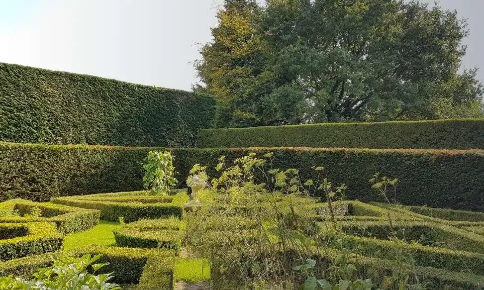 Bordon based hedge trimming services